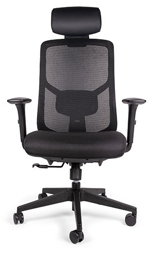 Ofi Nebula